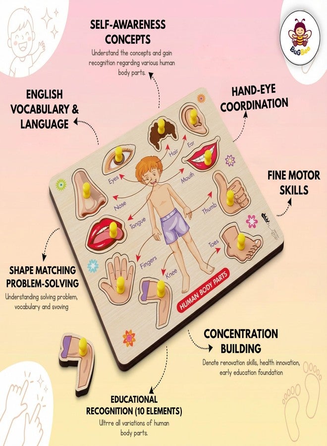 BuGBee Wooden Body Parts Puzzle for Kids | Montessori Human Body Parts Learning Peg Board | Educational Wooden Jigsaw Toy for Toddlers 2 3 4 5+ Years - Image 5